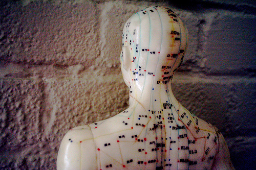 Manekin do akupunktury